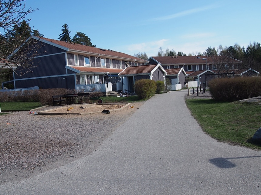 björkträdet